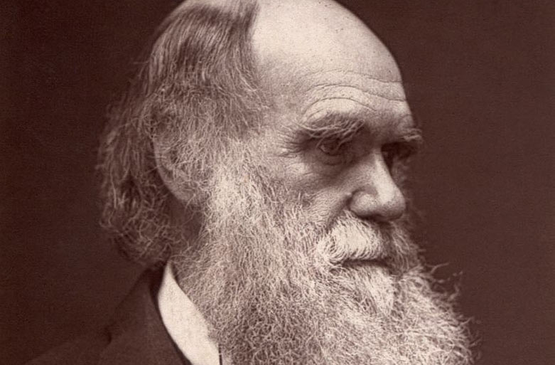 Charles Darwin regnes for faderen til den moderne evolutionslære.